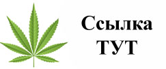 Купить наркотики в Гурьевске